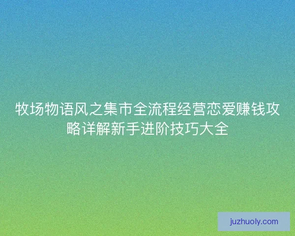 牧场物语风之集市全流程经营恋爱赚钱攻略详解新手进阶技巧大全