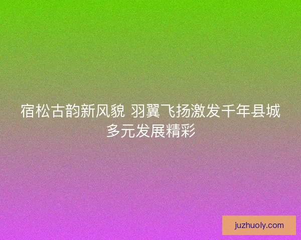 宿松古韵新风貌 羽翼飞扬激发千年县城多元发展精彩